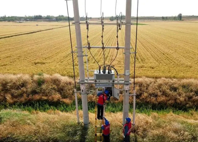 配電箱助力“電力?！报D農(nóng)民有了“電力保”產(chǎn)業(yè)發(fā)展質(zhì)效